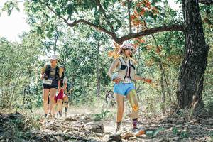 BIB: 
                            <button type="button" onclick="openModal(26093410)" class="btn btn-primary btn-sm float-right btn-popup" data-toggle="modal" data-target=".modal-high-quality">
                        <i class="fas fa-shopping-cart"></i> Add to Cart
                    </button>
                                            <button type="button" onclick="isThisMe(26093410, true)" class="btn btn-success btn-sm float-right btn-popup btn-isme hidden" data-toggle="tooltip" data-placement="bottom" title="นี่คือรูปของคุณใช่ไหม คลิกที่นี่เพื่อเอาเข้าอัลบั้ม">
                        <i class="fas fa-plus"></i> Add to album
                    </button>
                    <button type="button" onclick="isThisMe(26093410, false)" class="btn btn-warning btn-sm float-right btn-popup btn-isnotme hidden">
                        <i class="fas fa-ban"></i> Remove from album
                    </button>